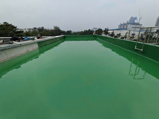 Sân thượng nhà máy sau khi thi công chống thấm PU màu xanh lá — bề mặt bóng đẹp, đồng đều, phủ kín