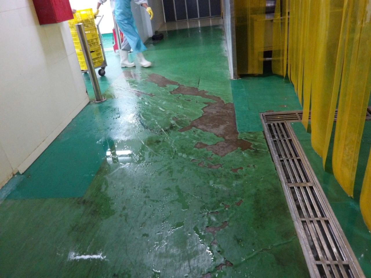 Sàn epoxy màu xanh trong nhà máy thực phẩm bong tróc thành mảng lớn, lộ nền bê tông bên dưới